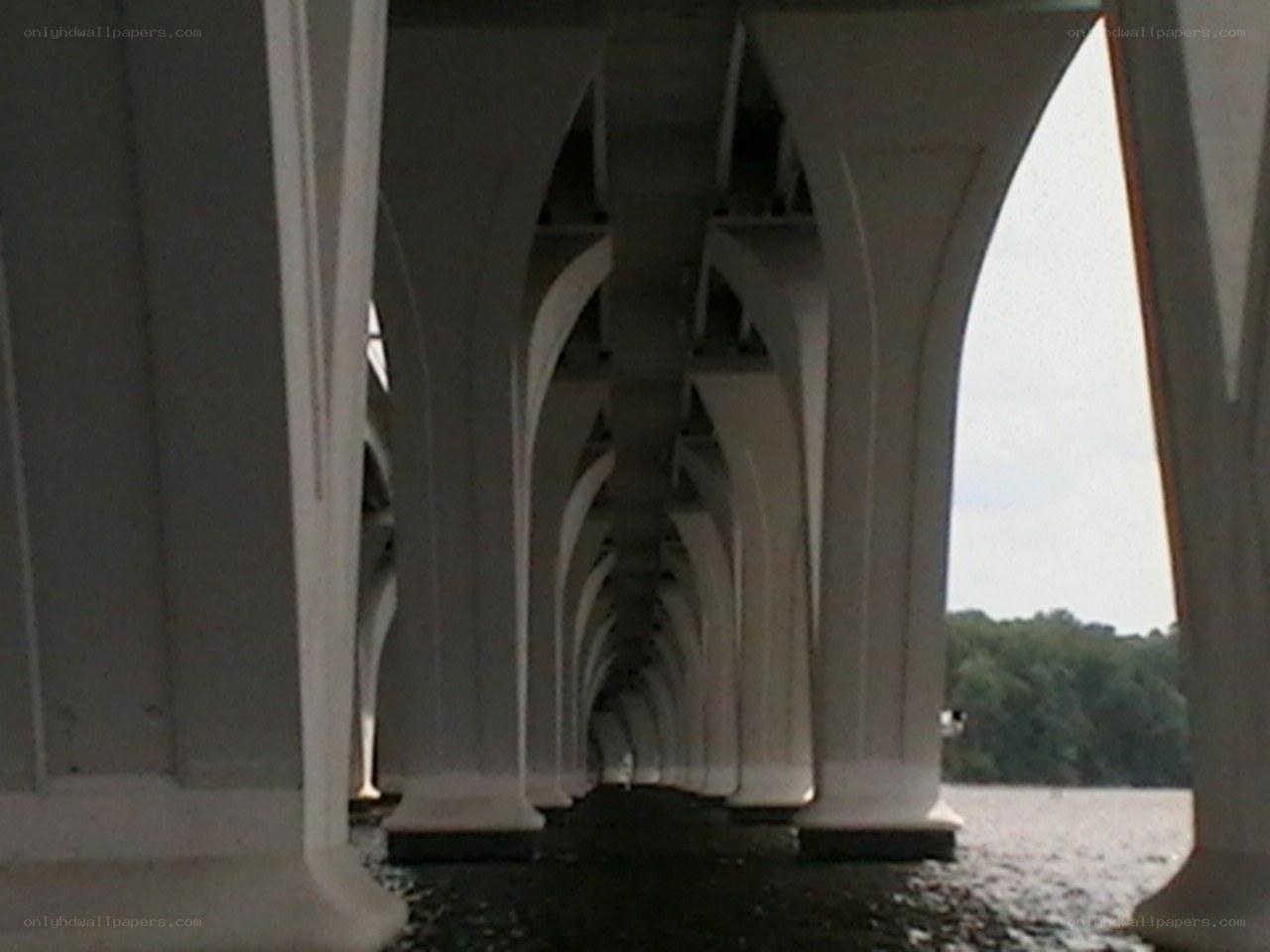 under a bridge arches