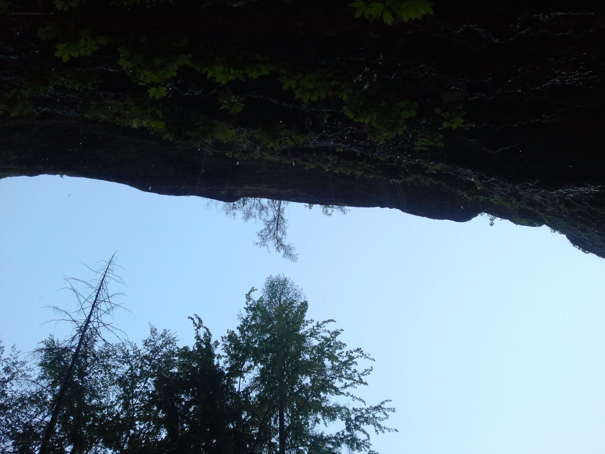under a rock overhang