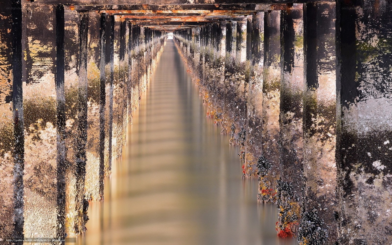 Under the pier tunnel