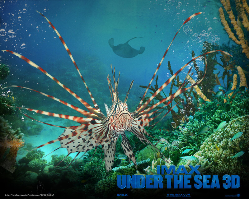 Under the Sea 3D IMAX