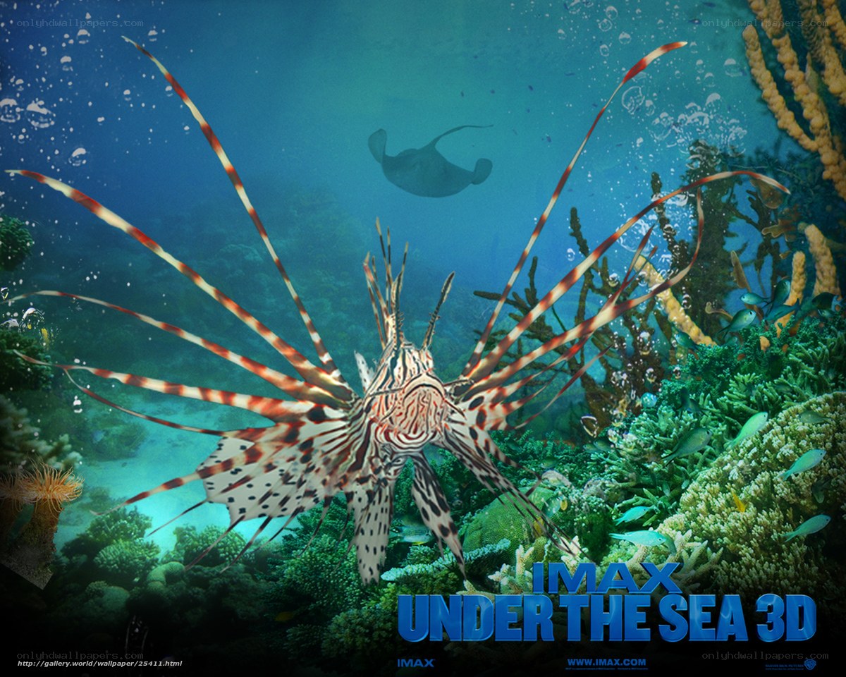Under the Sea 3D IMAX