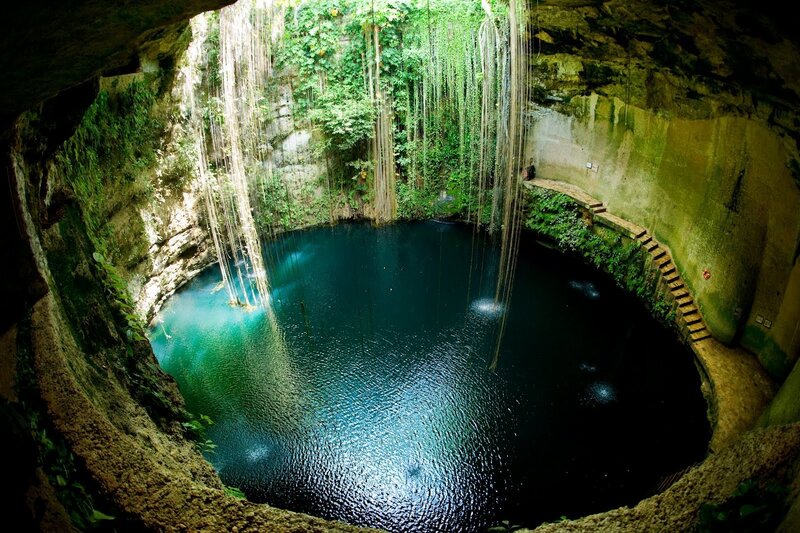 Underground Cenote Pool — Green, Serene, Afternoon