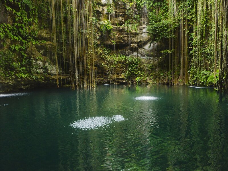 Underground Cenote Pool — Green, Serene