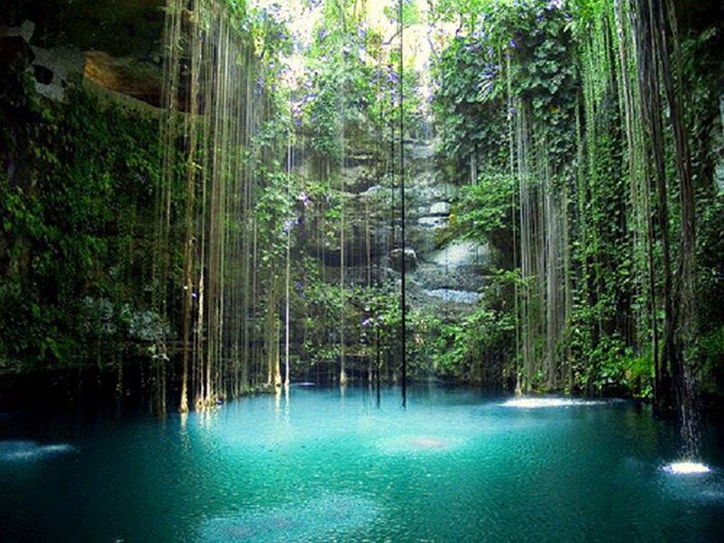 Underground Cenote with Vines