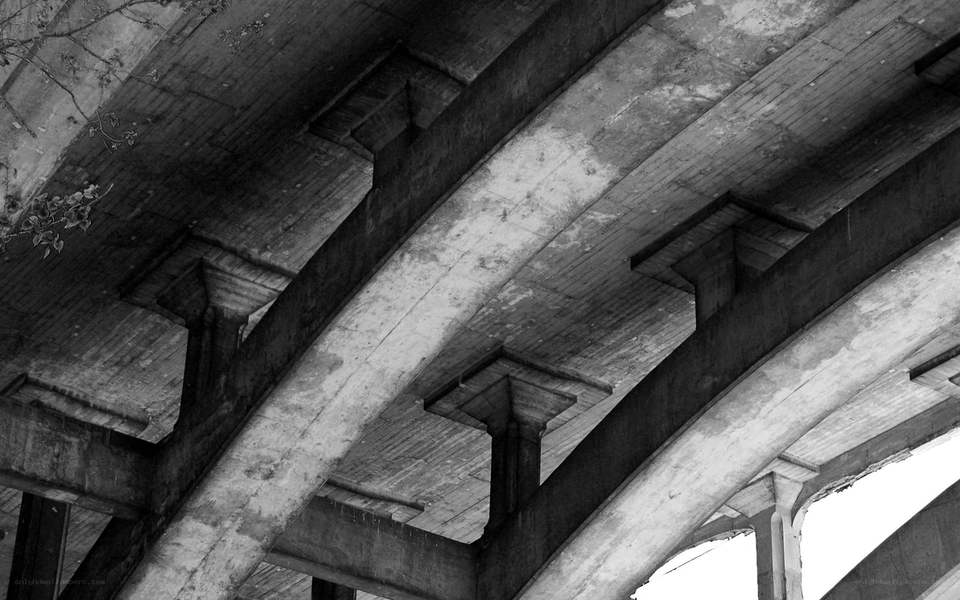 underneath a concrete bridge