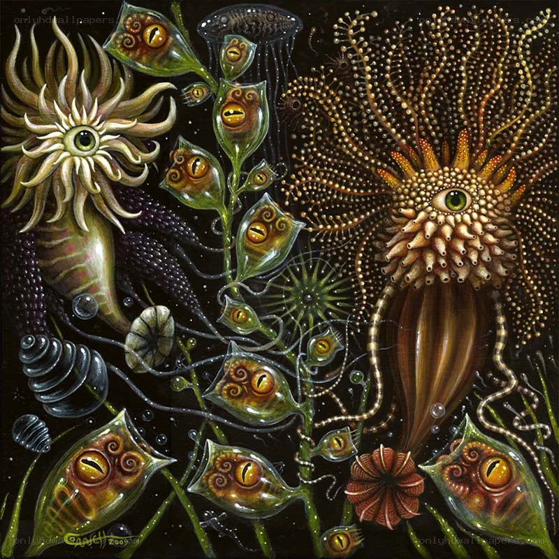 Undersea creatures with eyes