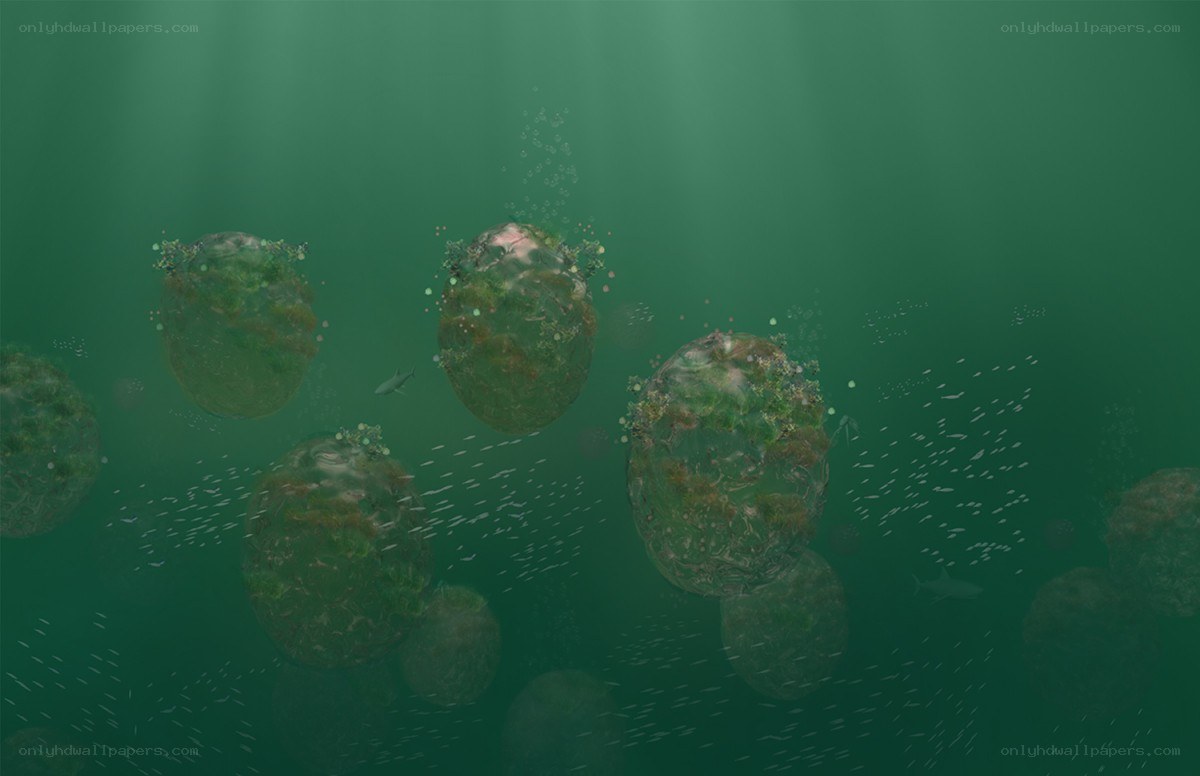 Underwater alien ecosystems