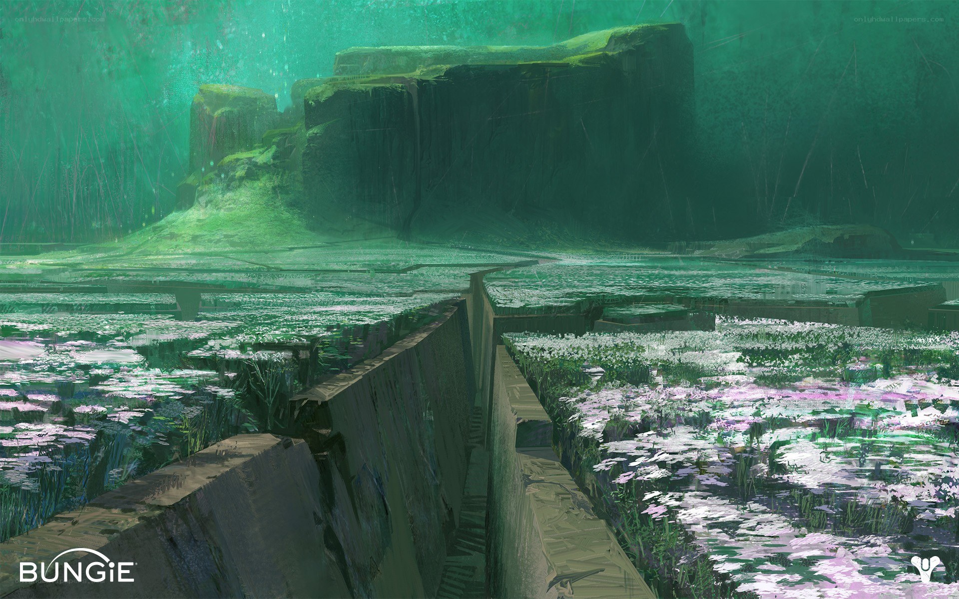 Underwater alien landscape