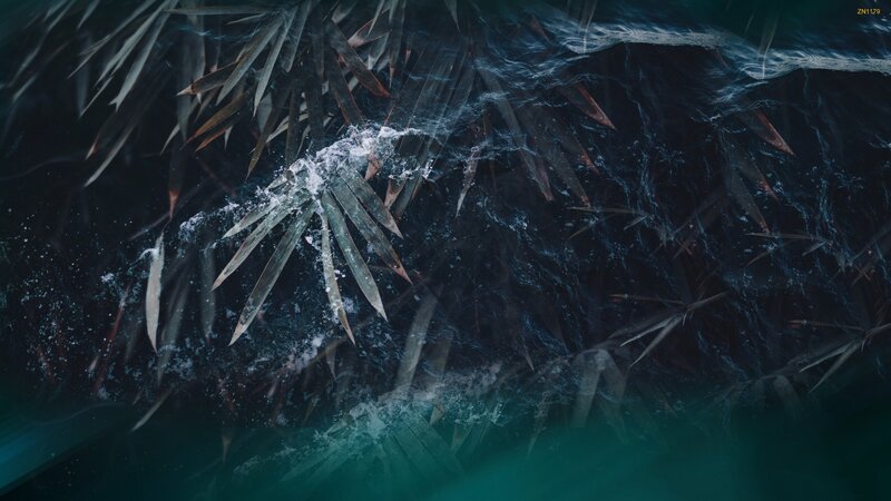 Underwater Bamboo Leaves