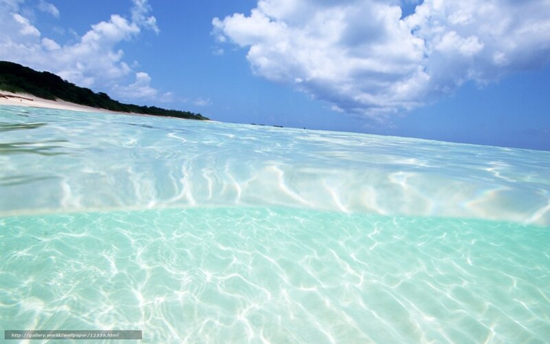 Underwater beach scene
