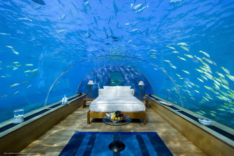Underwater Bedroom — Blue, Serene, Photograph, Bed, Fish, Table
