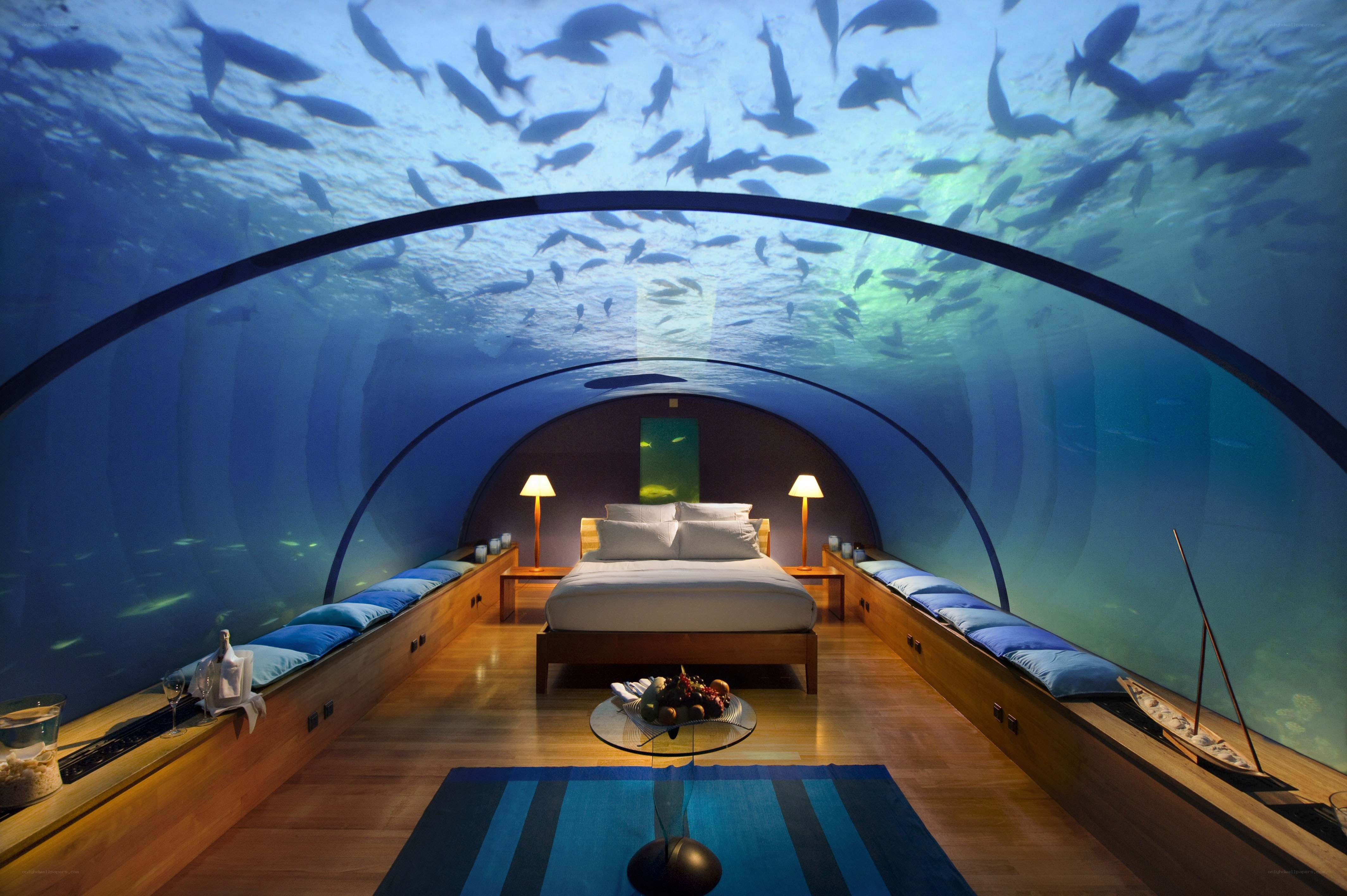 Underwater bedroom with fish