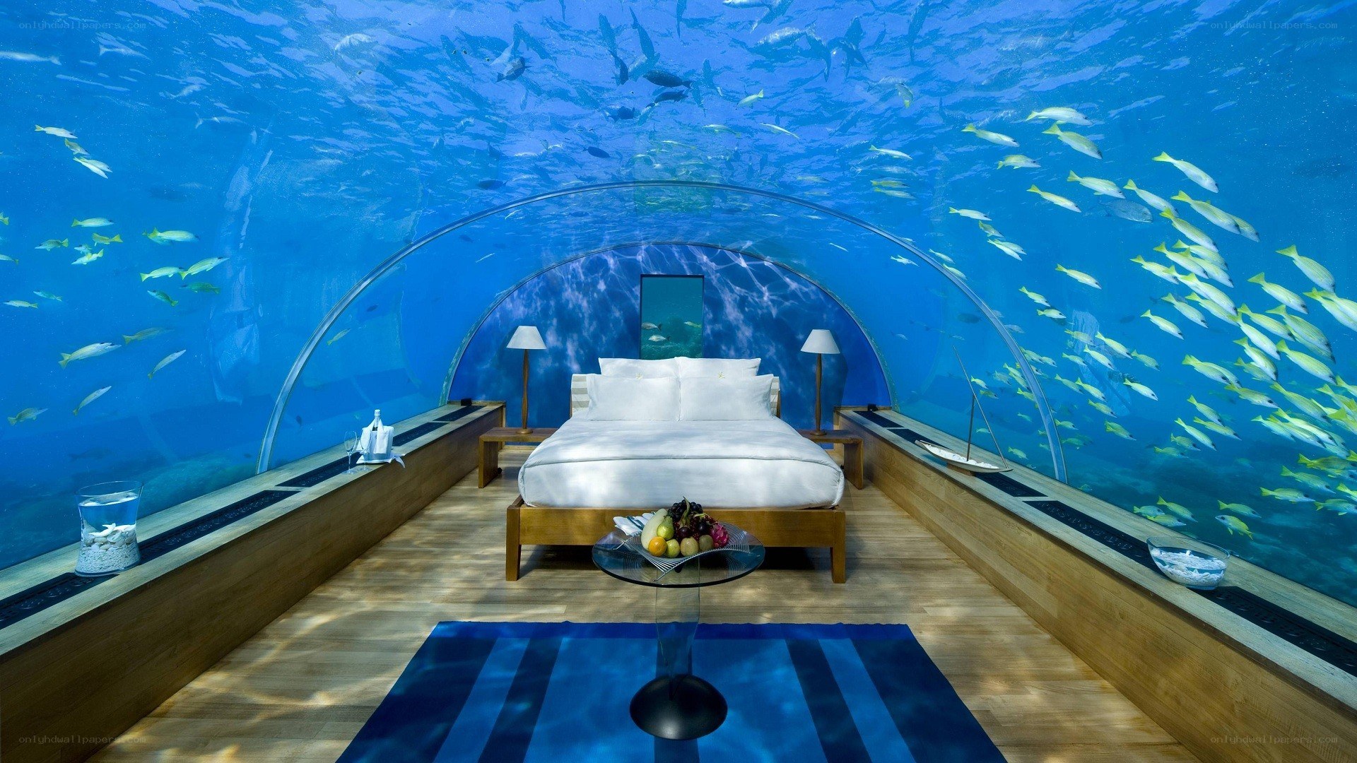 Underwater bedroom with fish