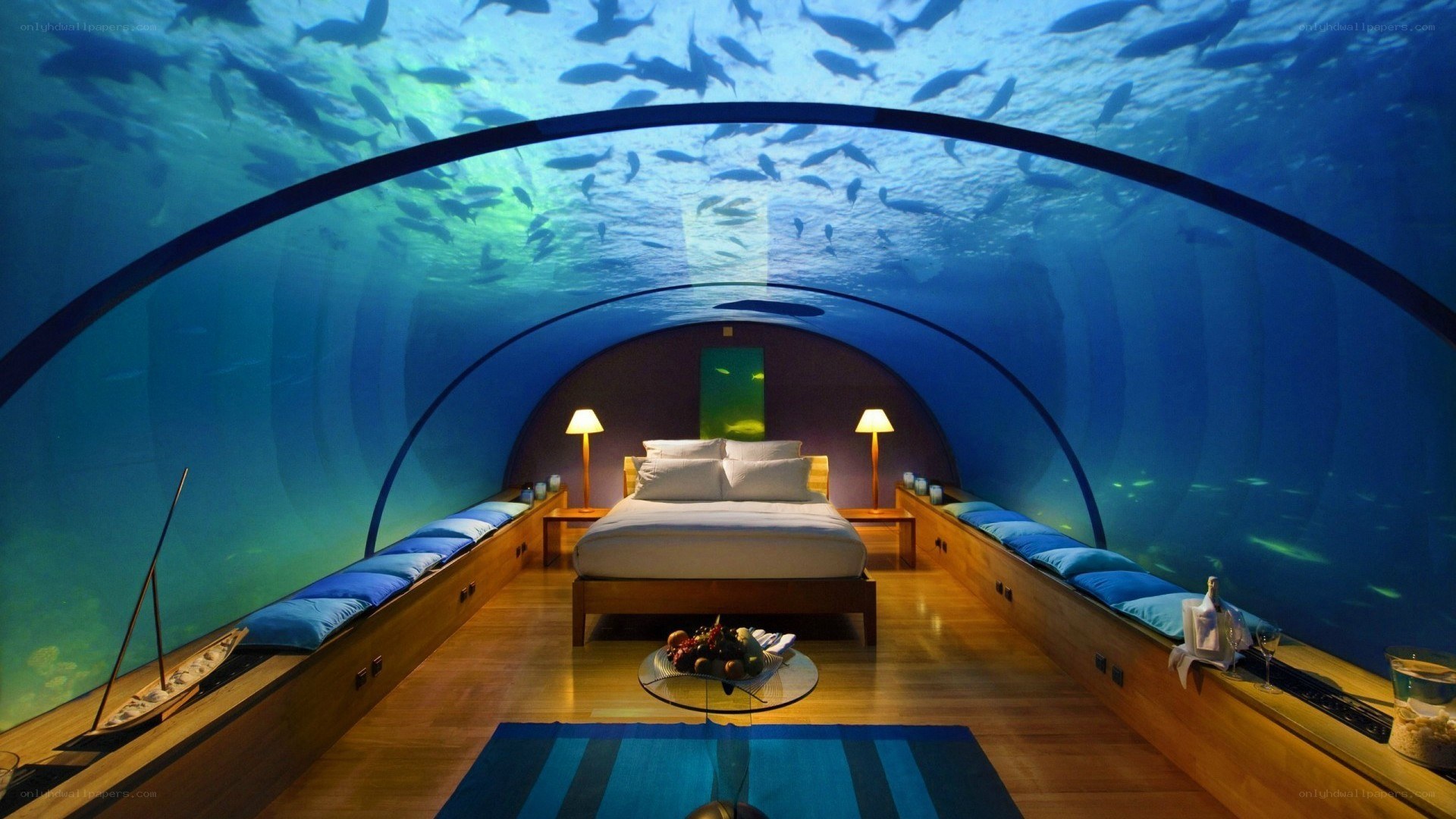 underwater bedroom with fish