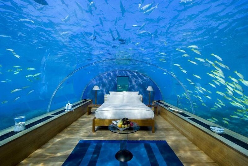 Underwater bedroom with fish