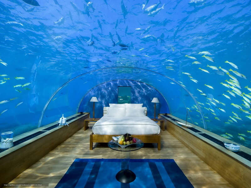 Underwater bedroom with fish