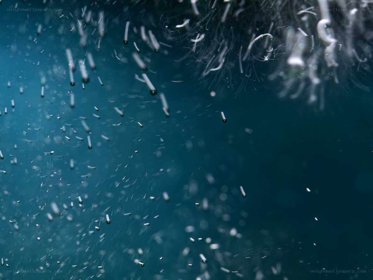 Underwater bubbles and fibers
