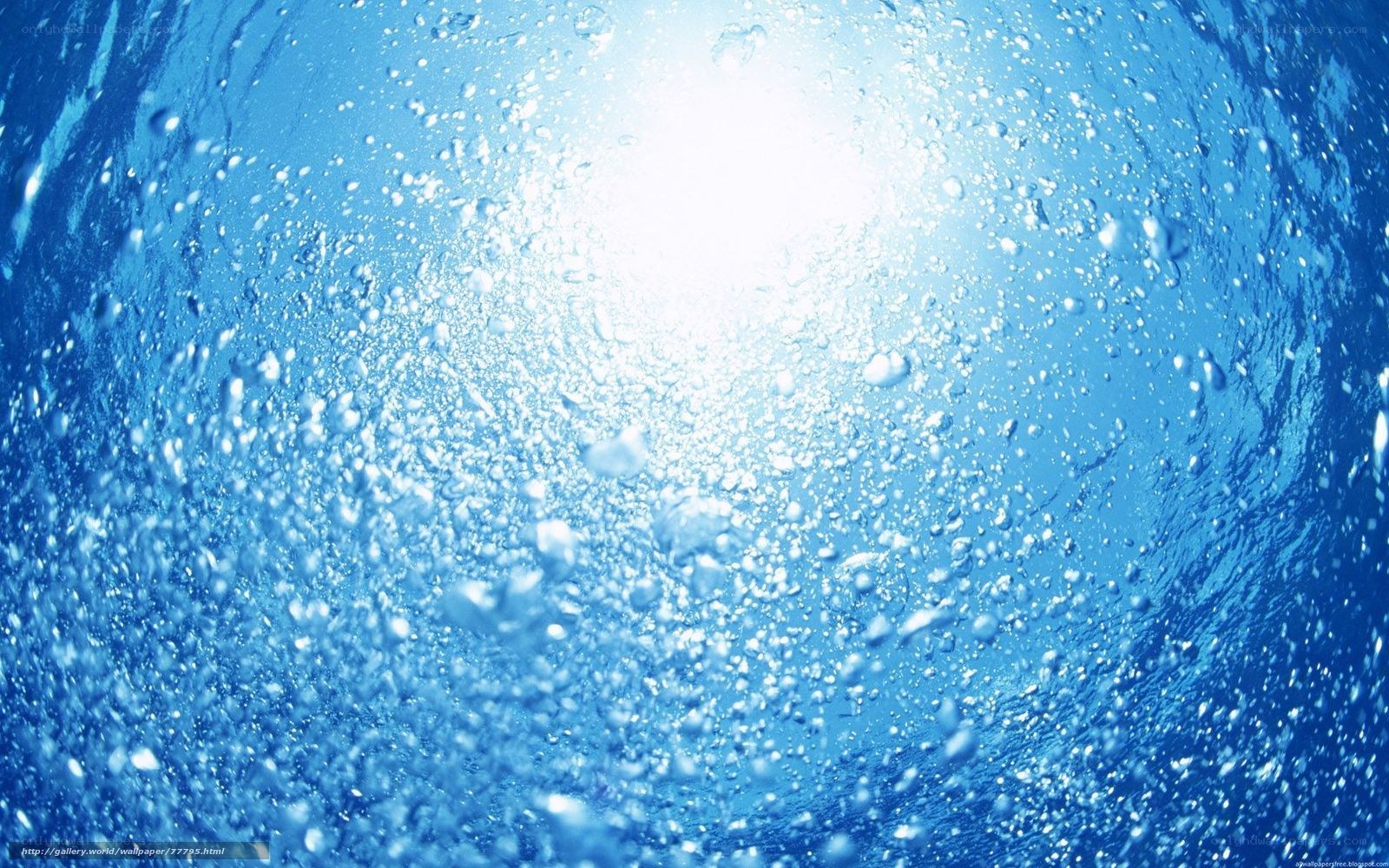 Underwater bubbles and sunlight