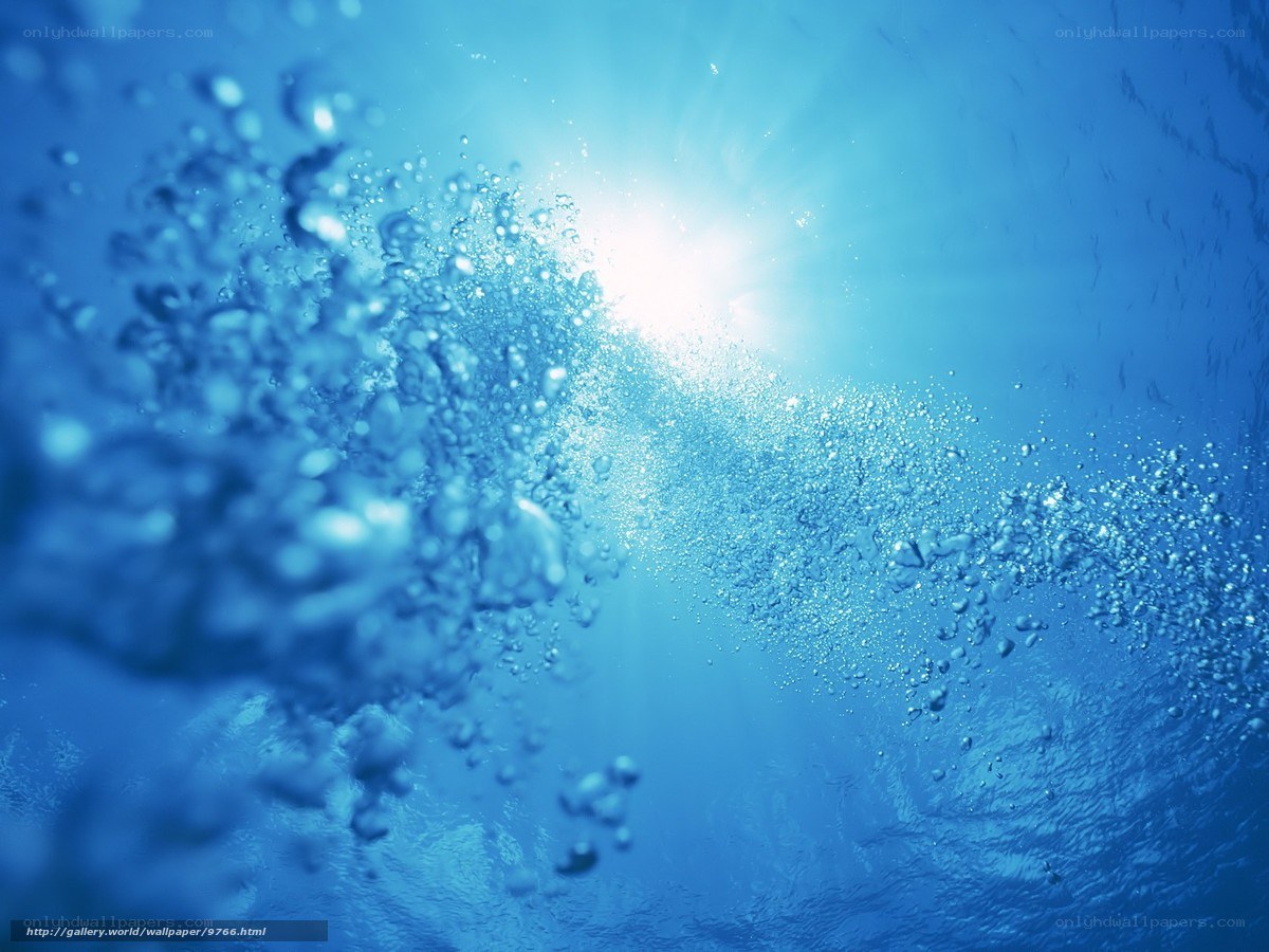 Underwater bubbles and sunlight