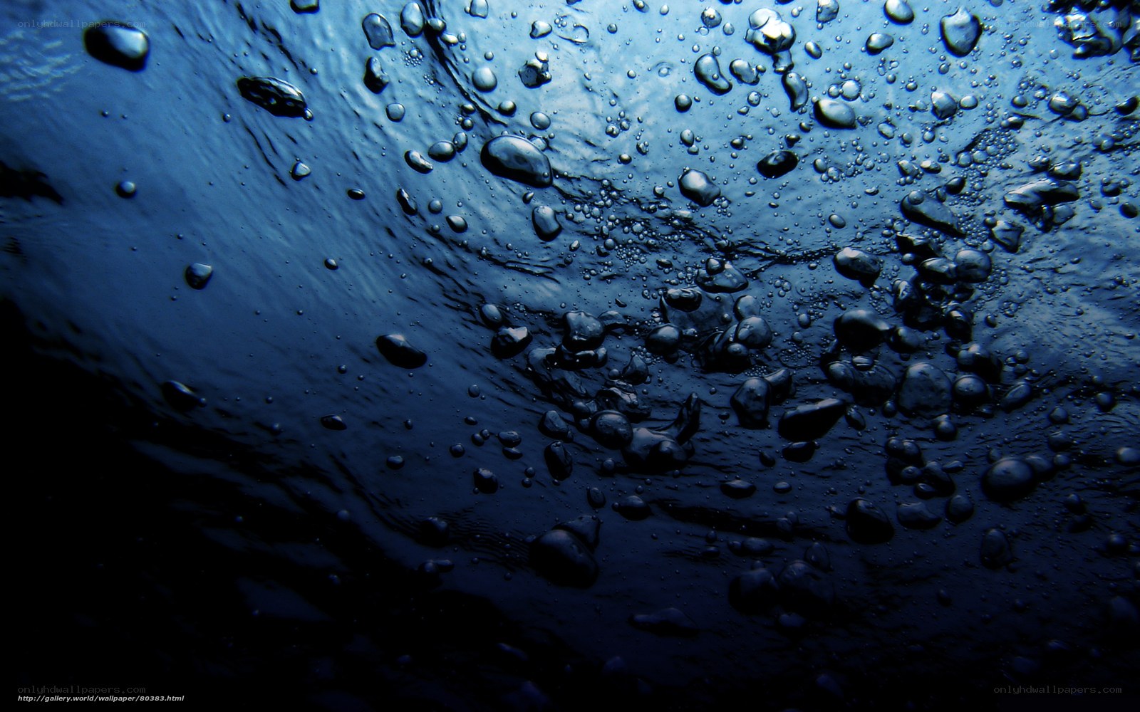 Underwater bubbles and waves