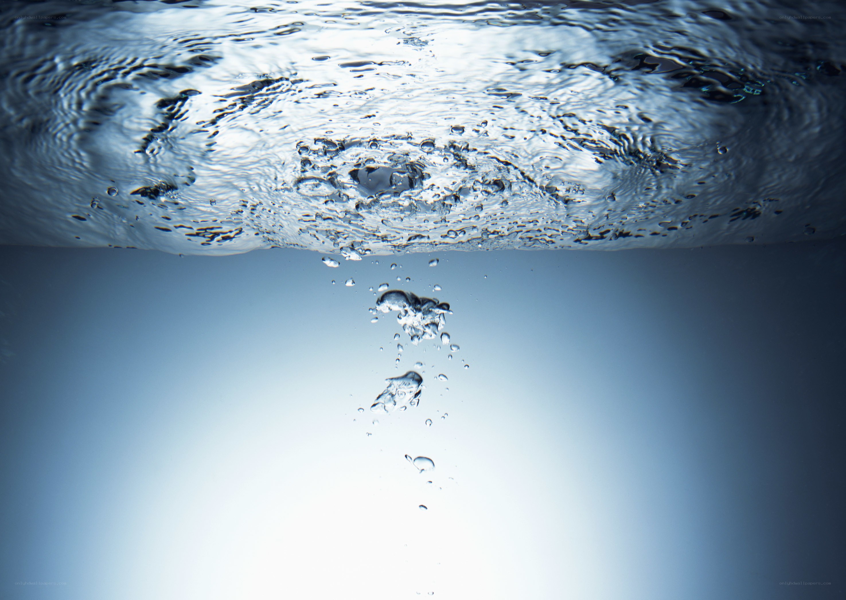 Underwater bubbles rising