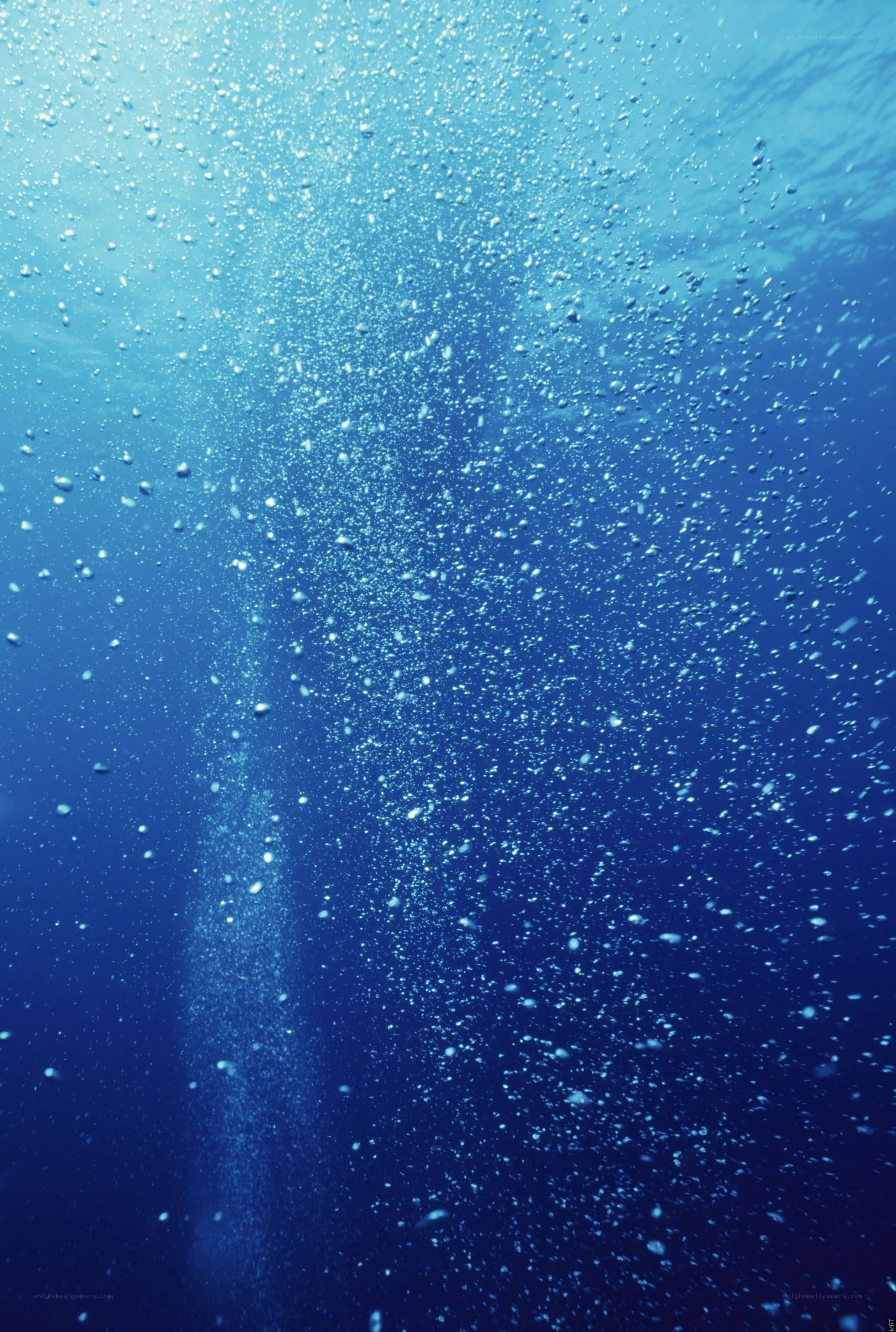 Underwater bubbles rising