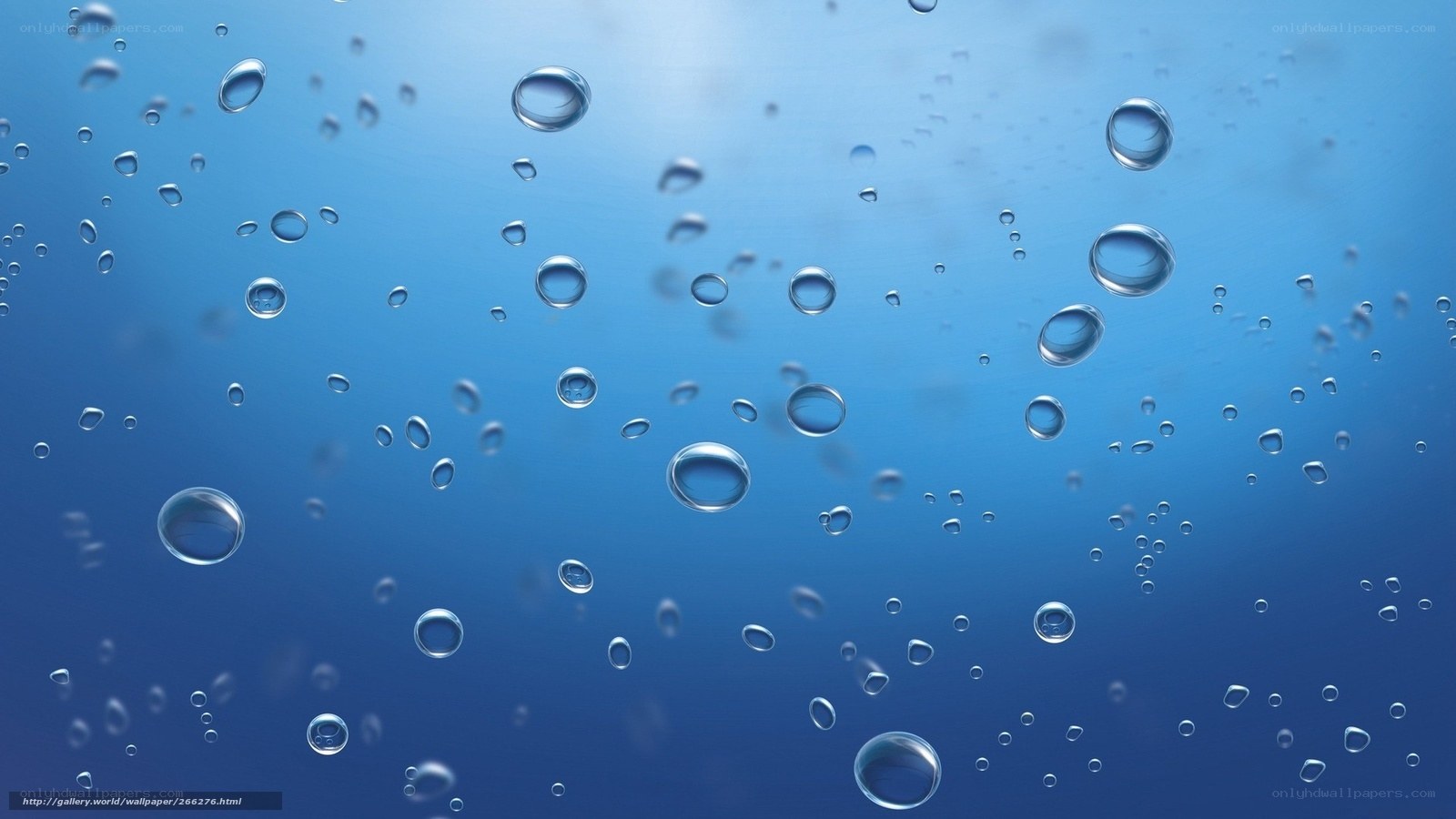 Underwater bubbles rising