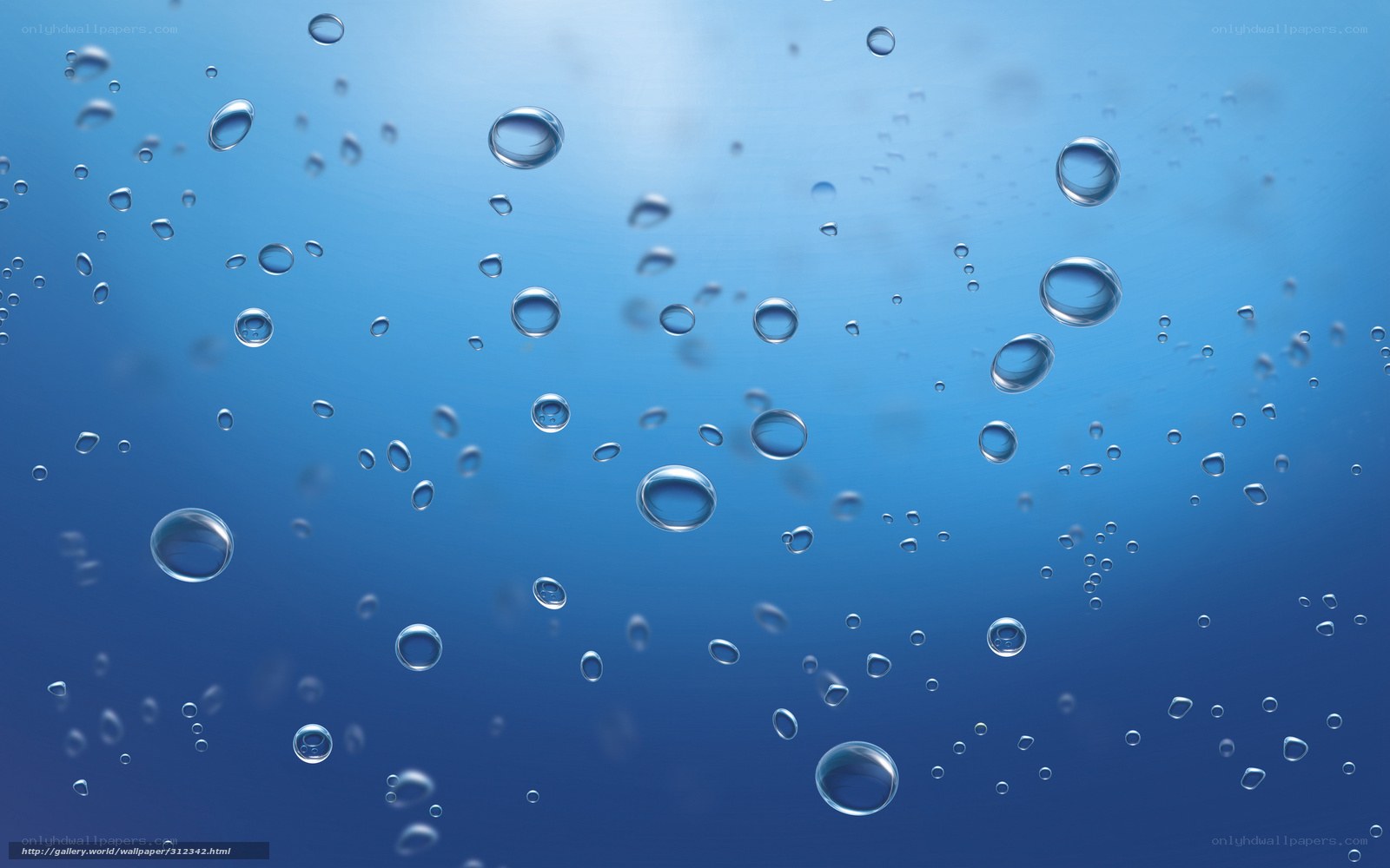 Underwater bubbles rising