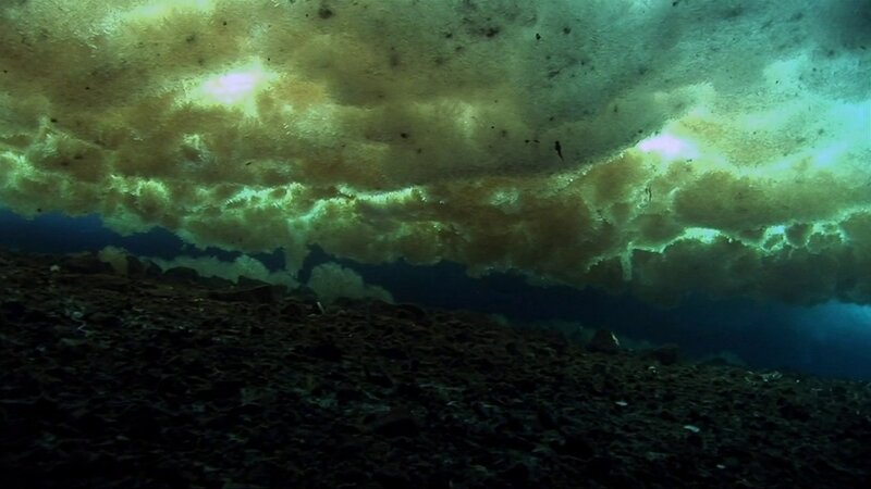 Underwater Cave Ceiling