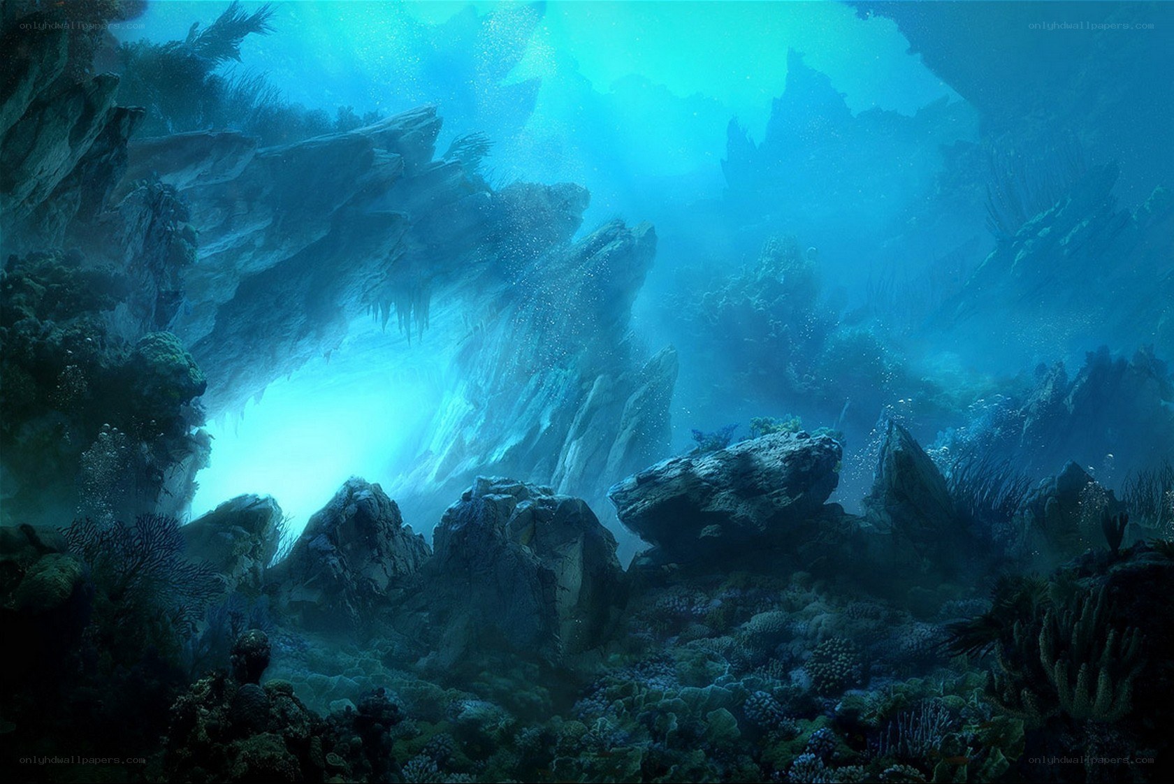 underwater cave with coral