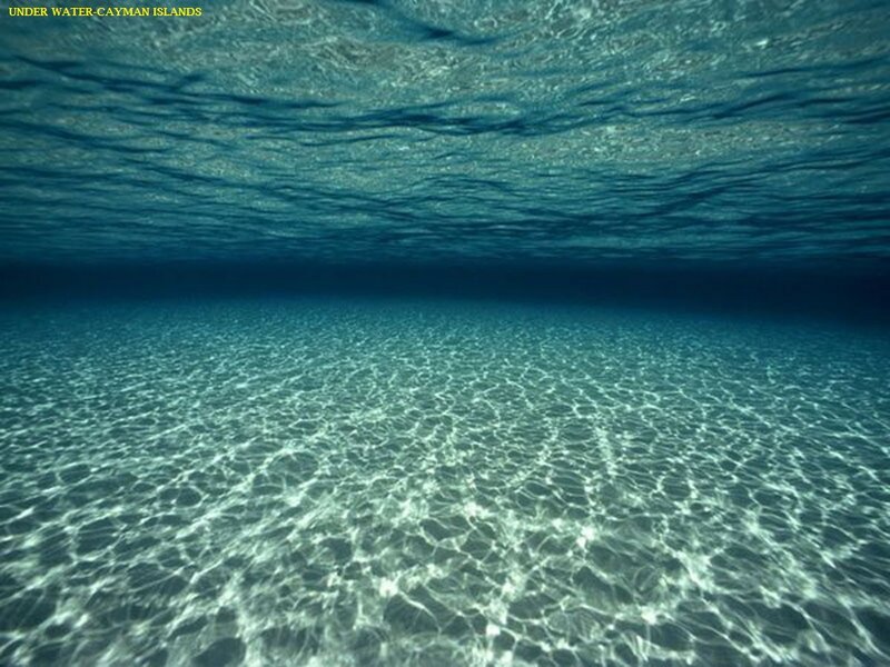 Underwater Cayman Islands