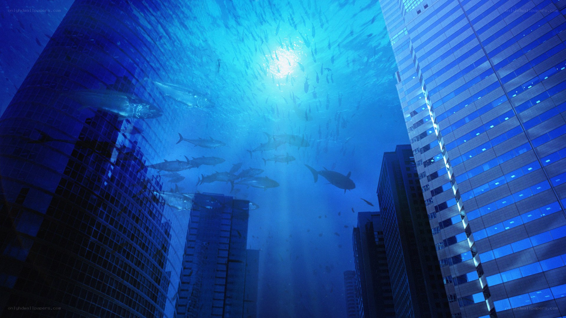underwater city with fish