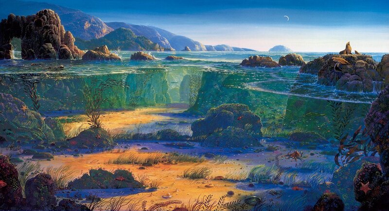 Underwater Coastal Scene
