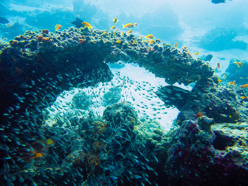 Underwater Coral Arch