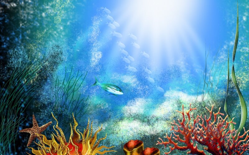 Underwater Coral Reef — Blue, Serene, Afternoon, Digital Art, Fish, Starfish