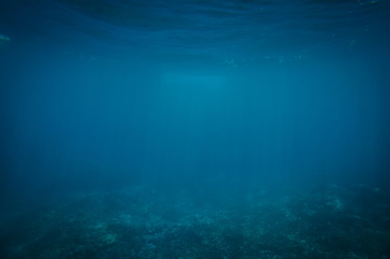 Underwater Coral Reef — Blue, Serene, Afternoon, Photograph, Sunlight, Ocean