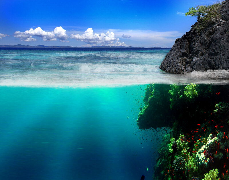 Underwater Coral Reef — Blue, Serene, Afternoon