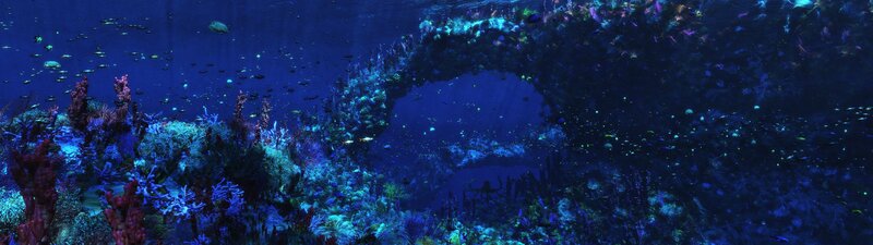Underwater Coral Reef — Blue, Serene, Night, 3d Render