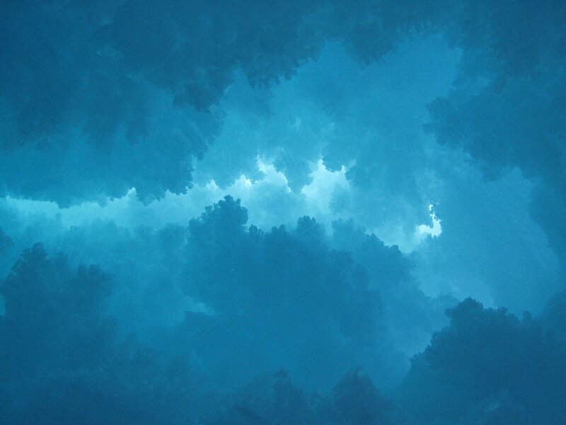 Underwater Coral Reef — Blue, Serene, Photograph, Light