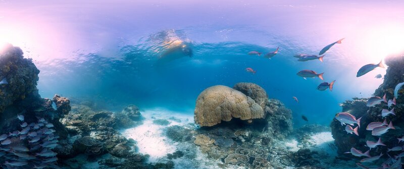 Underwater Coral Reef — Blue, Serene, Sunset