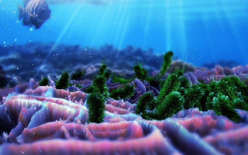 Underwater Coral Reef — Blue, Serene