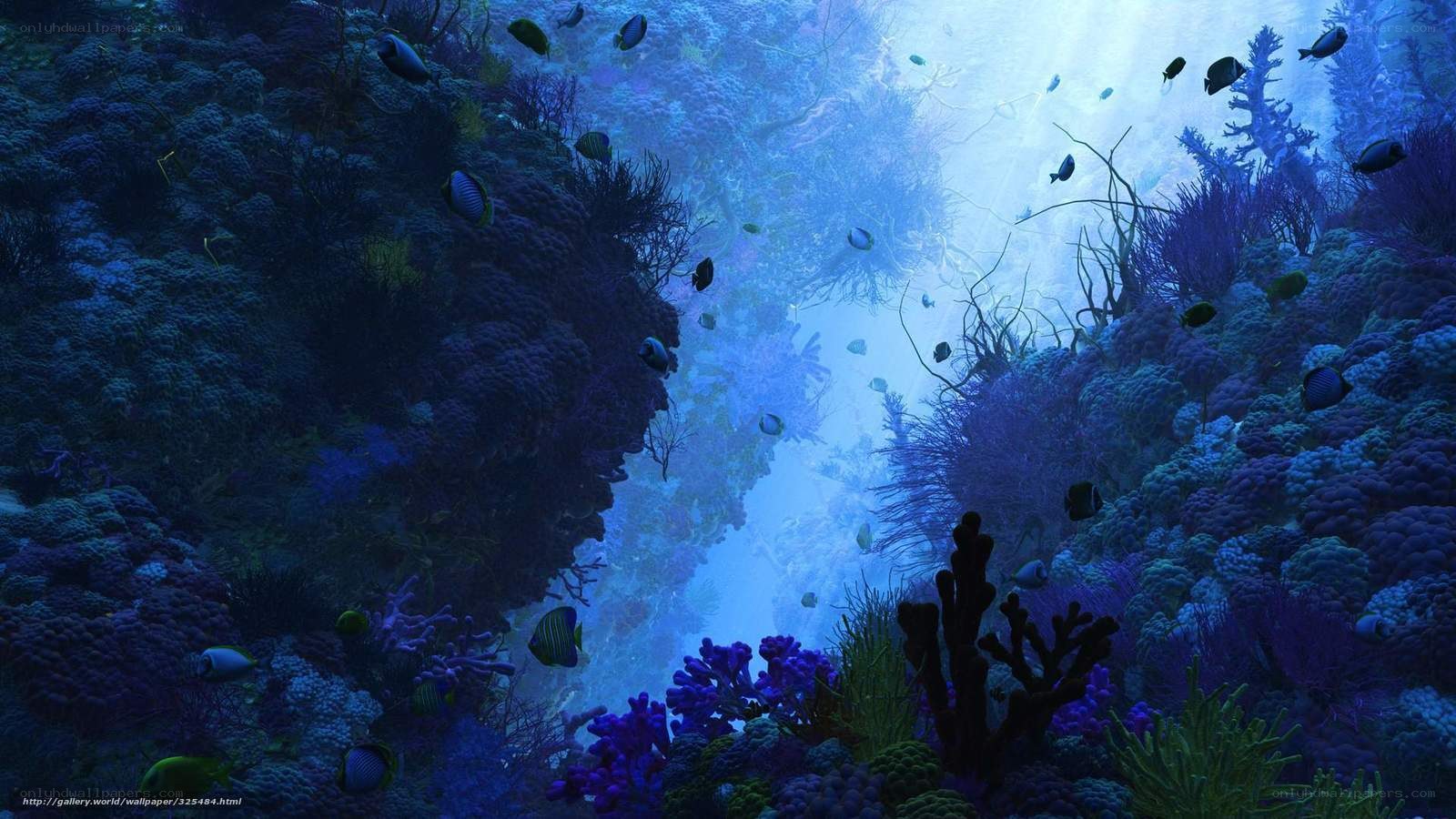 Underwater coral reef scene