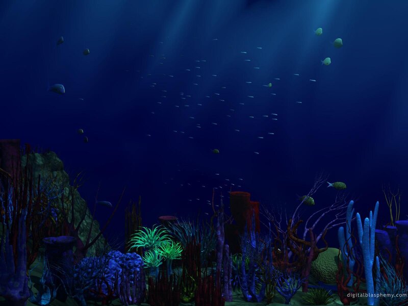 underwater coral reef scene