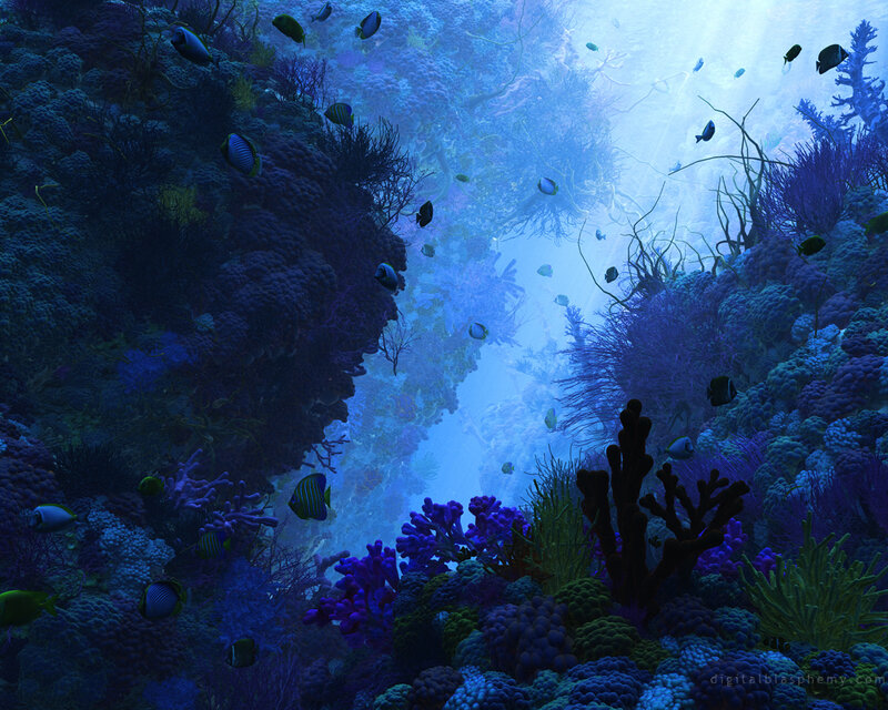 Underwater coral reef scene