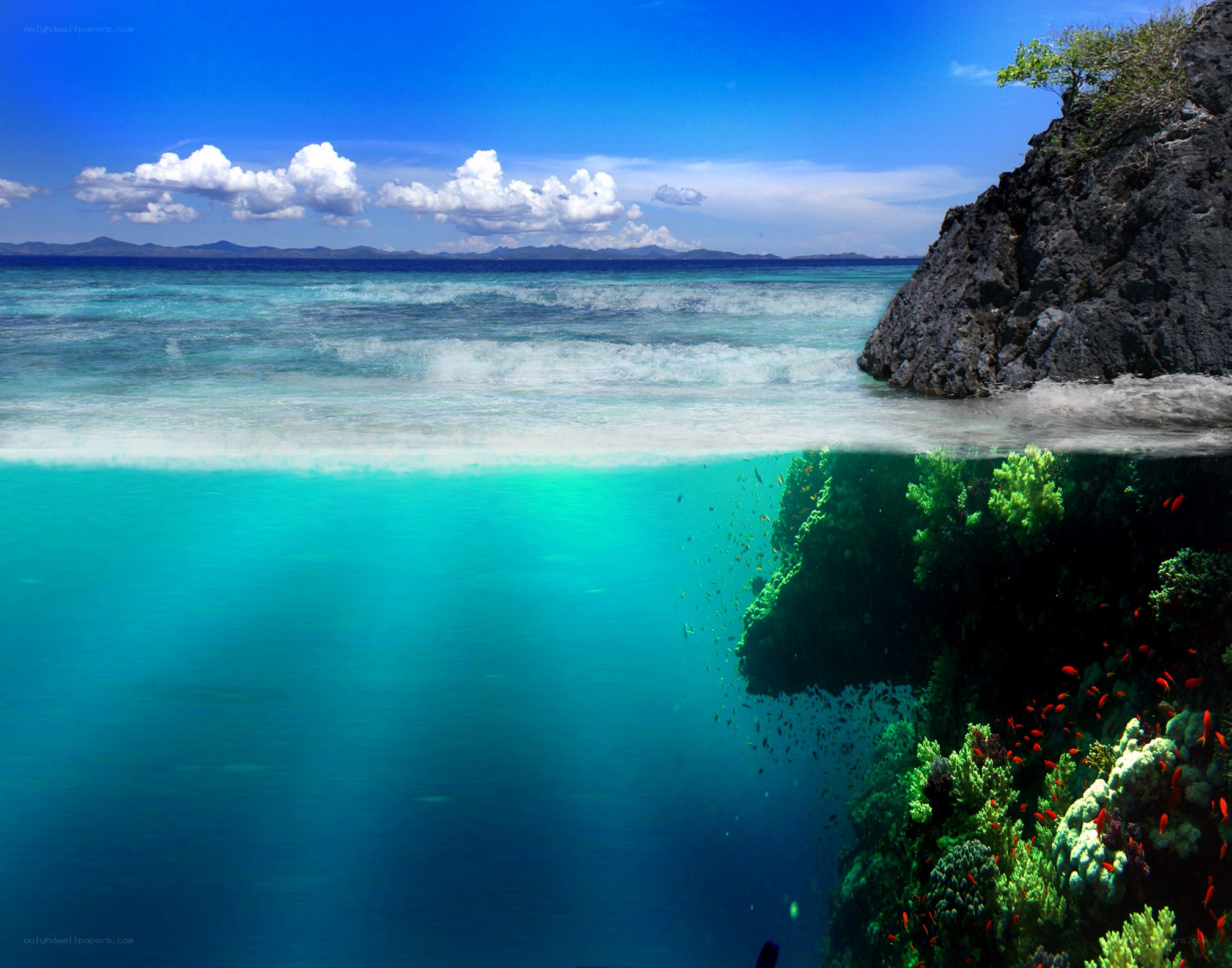 Underwater coral reef scene