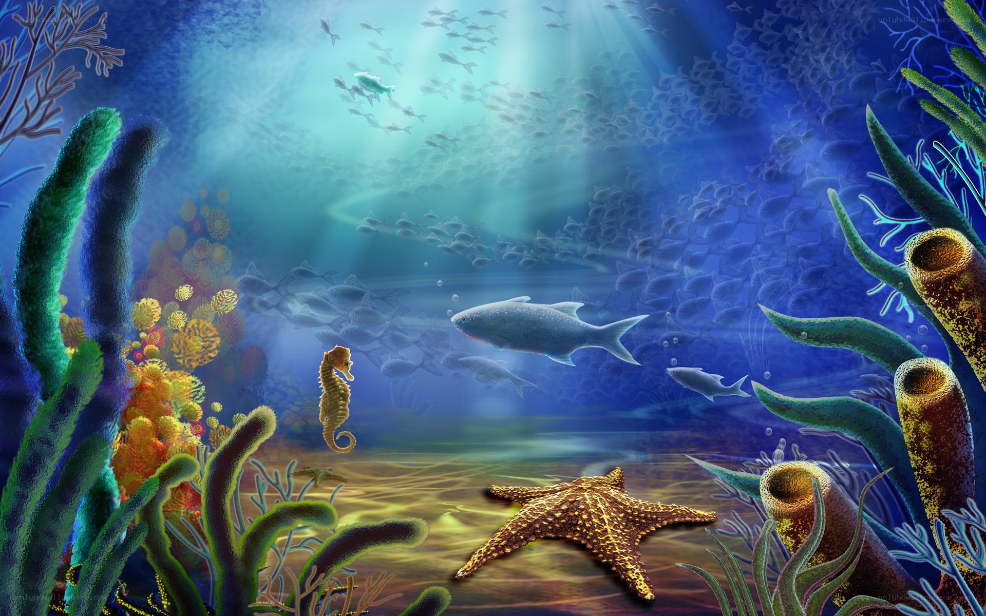Underwater coral reef scene