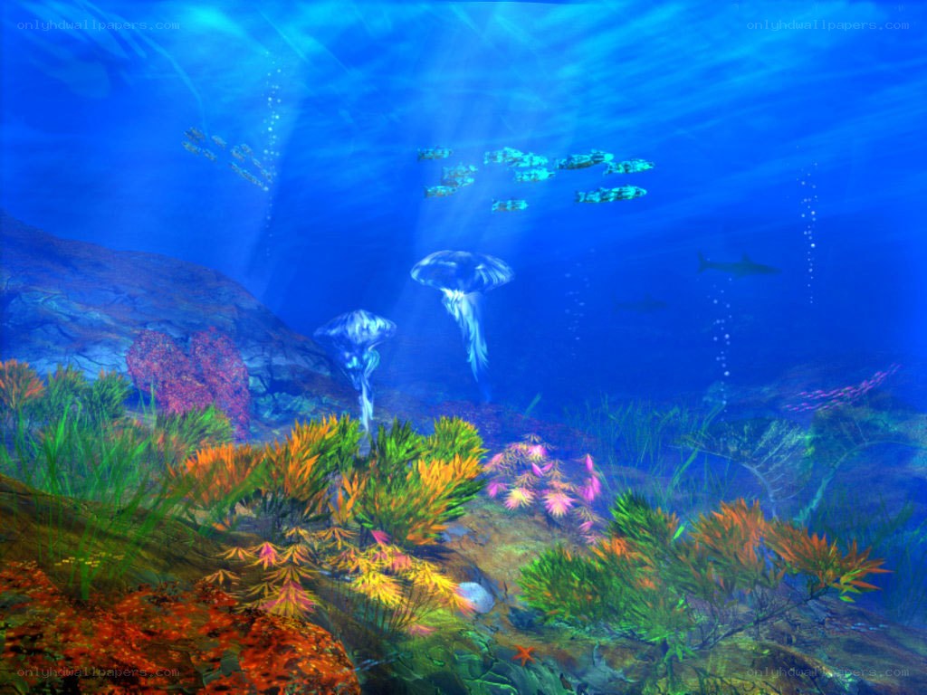 Underwater coral reef scene