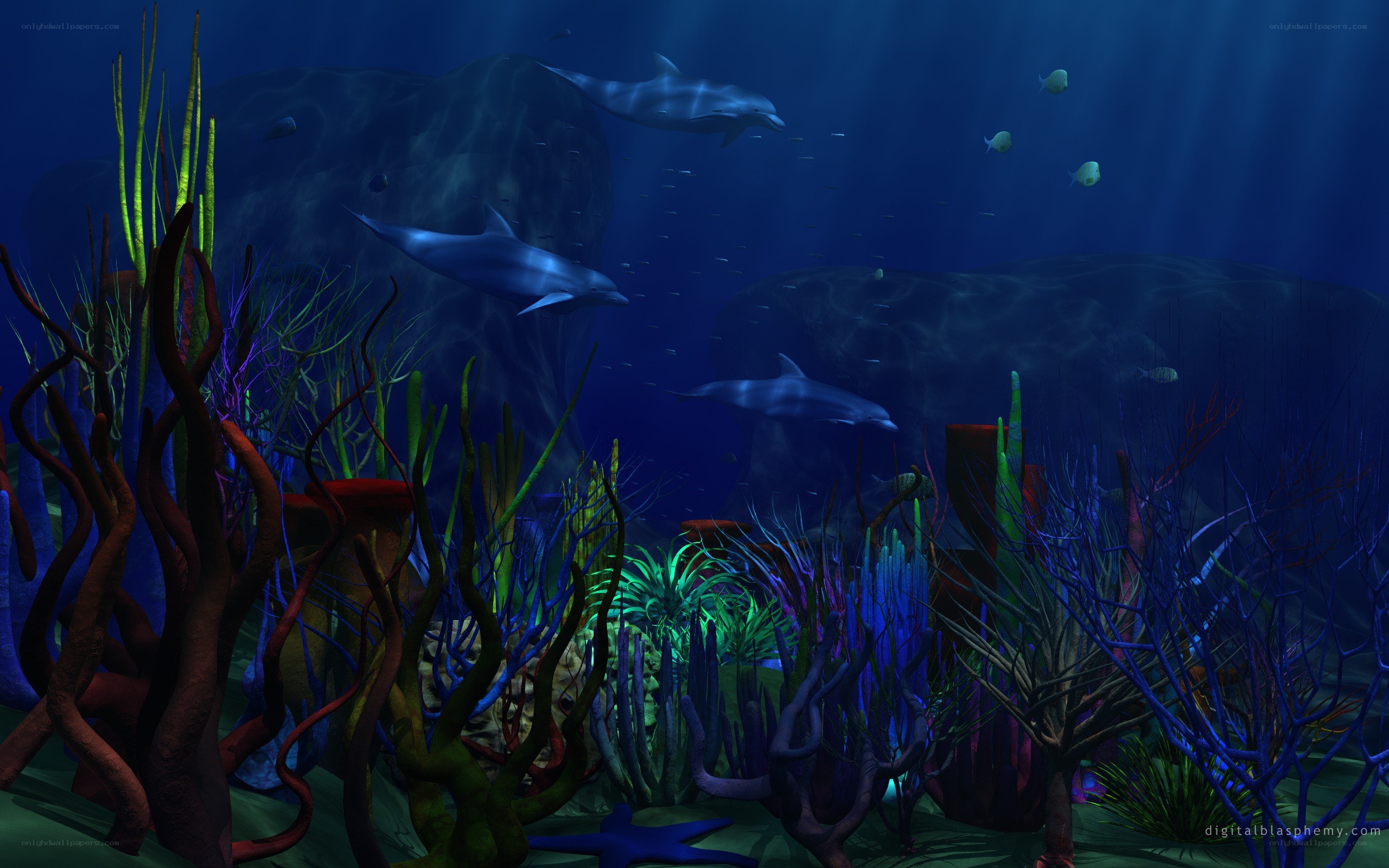 Underwater coral reef scene
