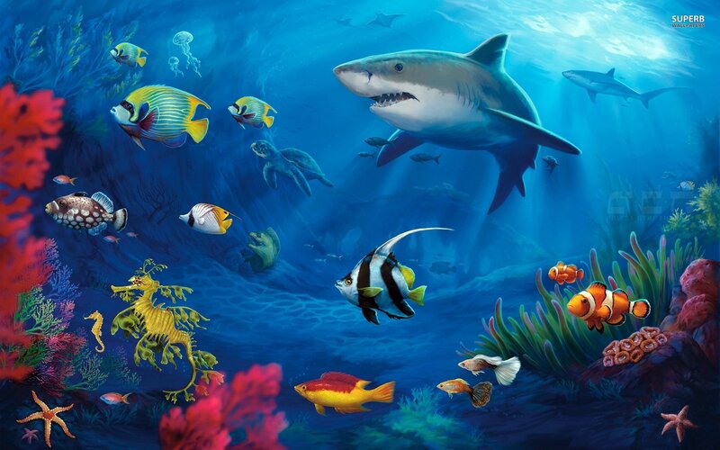 Underwater coral reef scene