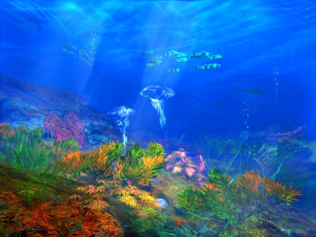 Underwater coral reef scene
